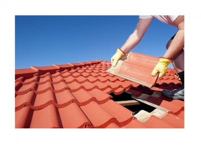 acoperis tigla beton